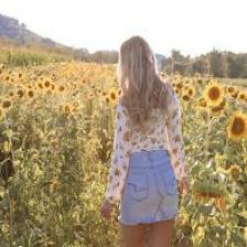 Sunflower-Train (1426).jpeg