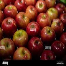 Apple (1036).jpeg
