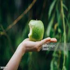 Apple (1191).jpeg