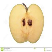 Apple (1306).jpeg