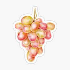 Grape (119).jpeg