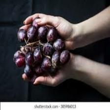 Grape (1229).jpeg