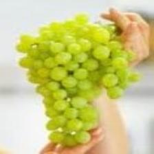 Grape (1286).jpeg