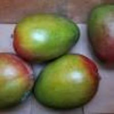 Mango (1).jpeg