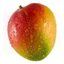 Mango (1007).jpeg