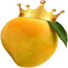 Mango (1012).jpeg