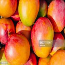 Mango (1151).jpeg