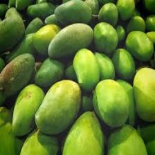 Mango (1232).jpeg