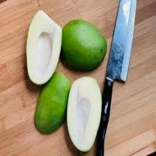Mango (1277).jpeg