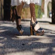Clog-Train (1621).jpeg