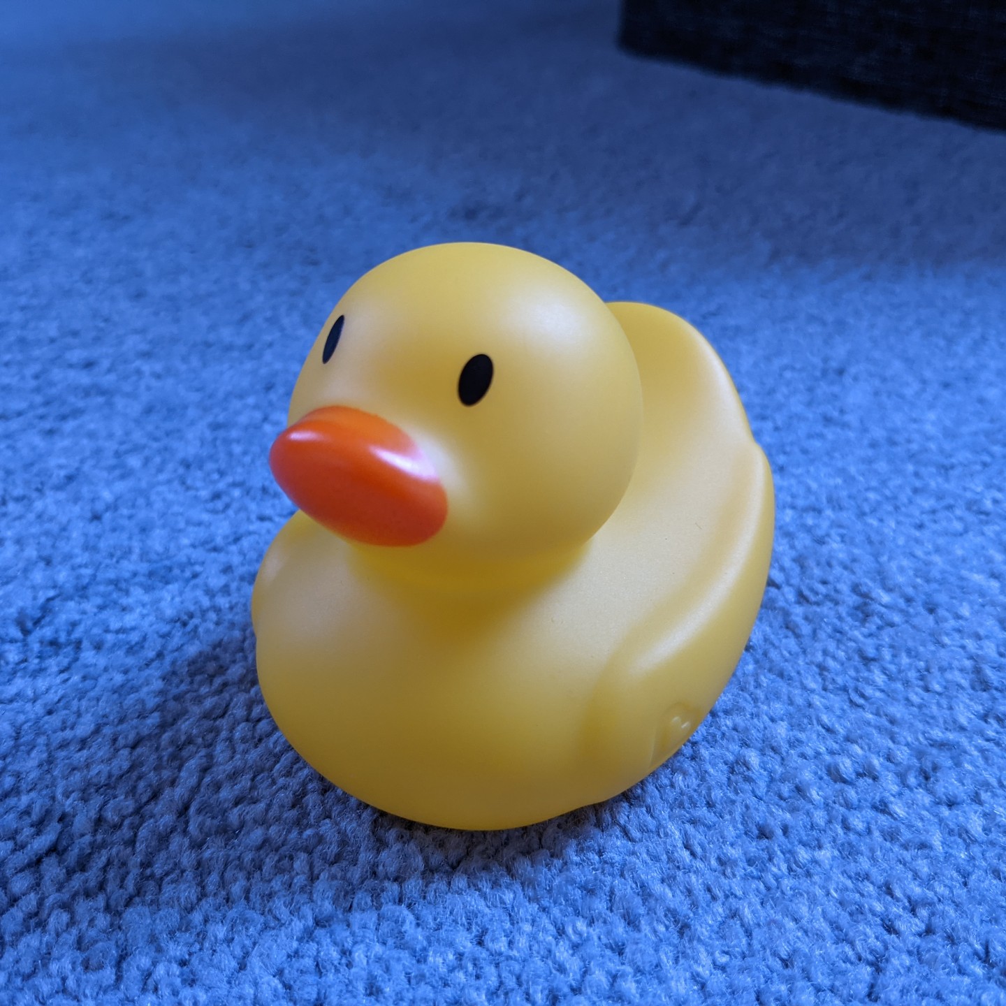 duck_toy_01.jpg