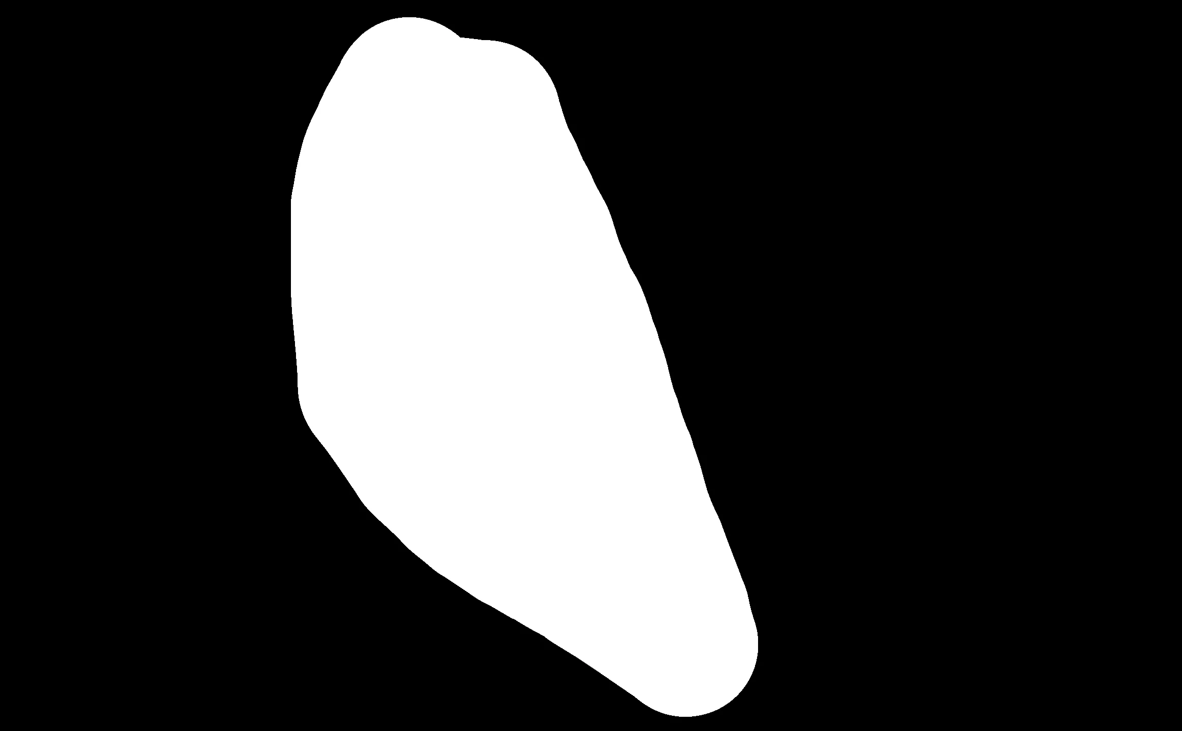 local_1_m.webp