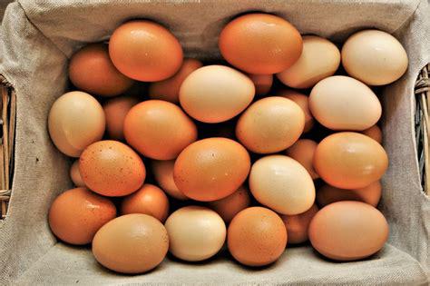 Eggs