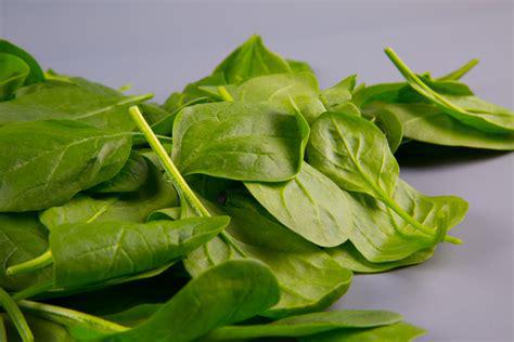 Spinach.jpg