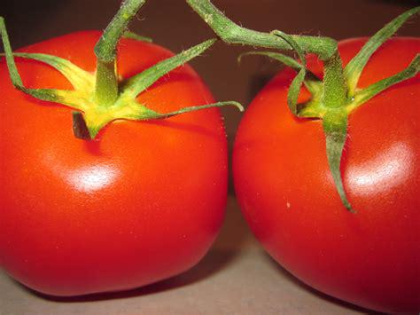 Tomatoes.jpg